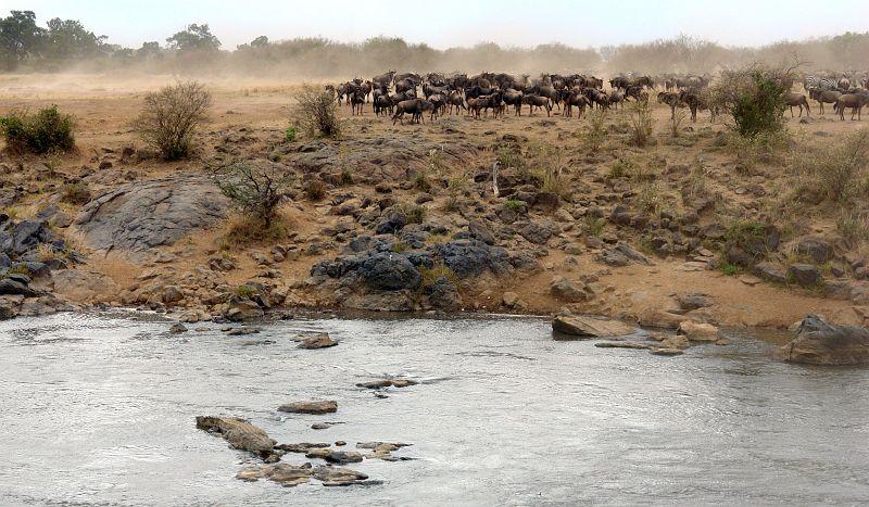Royal Mara Safari Lodge Aitong Dış mekan fotoğraf
